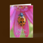 Ladybug Birthday Card
