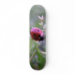 Ladybug board skate deck