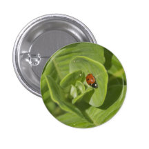 Ladybug Button