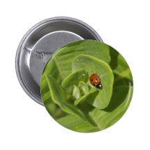 Ladybug Button