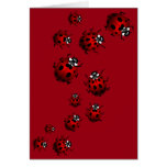 Ladybug Card Custom Ladybug Art Card - Blank