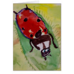 Ladybug Cards