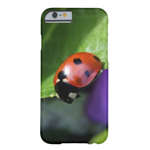 Ladybug case Zazzle