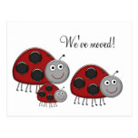 Ladybug Change of Address Cards Post Card