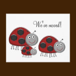 Ladybug Change of Address Cards Post Card