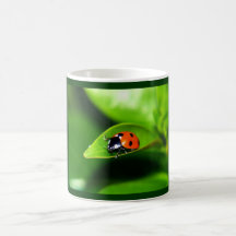 Ladybug Coffee Mugs