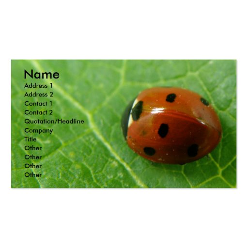 Ladybug Customizable Business Card