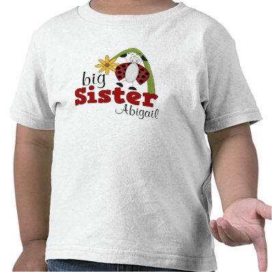 Ladybug Daisy Flower Big Sister T-shirt