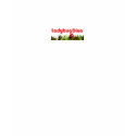 Ladybug Diva t-shirts