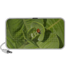 Ladybug Doodle Laptop Speakers