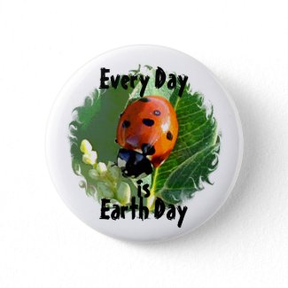 Ladybug Earth Day Button button