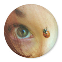 ladybug face magnets by perogies ladybug face magnets
