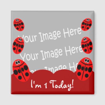 Ladybug Party Supplies on Ladybug First Birthday Photo Magnet Party Favors From Zazzle Com