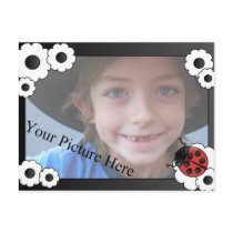 Ladybug Frame postcards