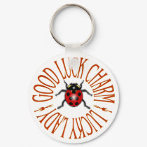 LADYBUG GOOD LUCK CHARM KEYCHAIN by mr_bill2 LADYBUG GOOD LUCK CHARM KEYCHAIN