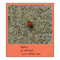 Ladybug Haiku Art Print