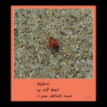 Ladybug Haiku Art Print
