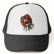 ladybug hats by tanyabond ladybug hats