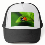 Ladybug Trucker Hat