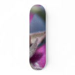 Ladybug Insect Skate Board