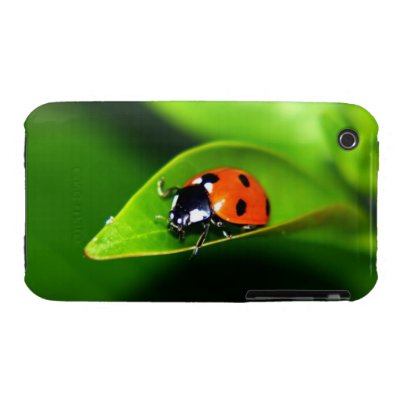Ladybug iPhone 3 Case