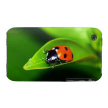 Ladybug iPhone 3 Case