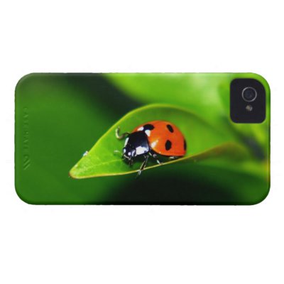 Ladybug iPhone 4 Case