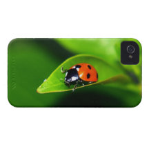 Ladybug iPhone 4 Case