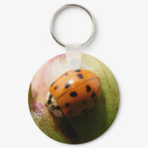 Ladybug Keychain