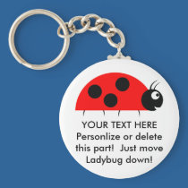 Ladybug keychains