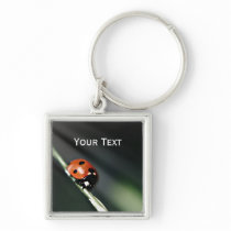 Ladybug Keychain keychains