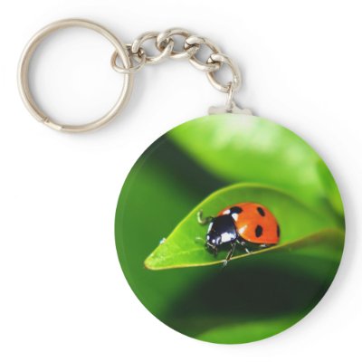 Ladybug keychains