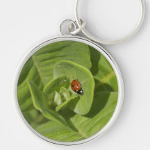 Ladybug Keychain