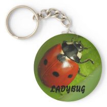 ladybug keychain