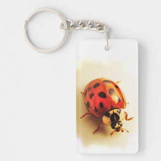 Ladybug Keychain