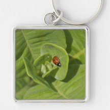 Ladybug Keychain