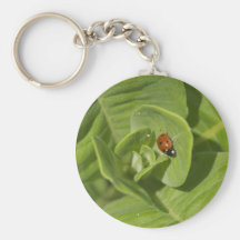 Ladybug Keychain