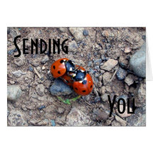 Ladybug Kisses Cards