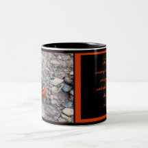 Ladybug Kisses Coffee Mugs