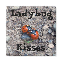 Ladybug Kisses Magnet