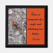 Ladybug Kisses Magnet