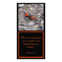 Ladybug Kisses Personalized Photo Card