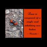 Ladybug Kisses Print