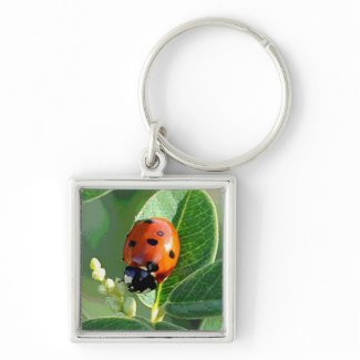 Ladybug Ladybug Keychain keychain