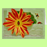 Ladybug Ladybug Ladybug! cards