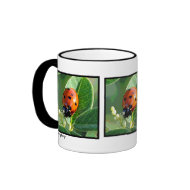 Ladybug, Ladybug ~ Mug mug