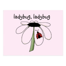Ladybug Ladybug Tshirts and Gifts Postcards