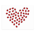 Ladybug Love Heart Postcard