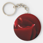 Ladybug Love Keychains