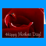 Ladybug Love Mothers Day Card cards